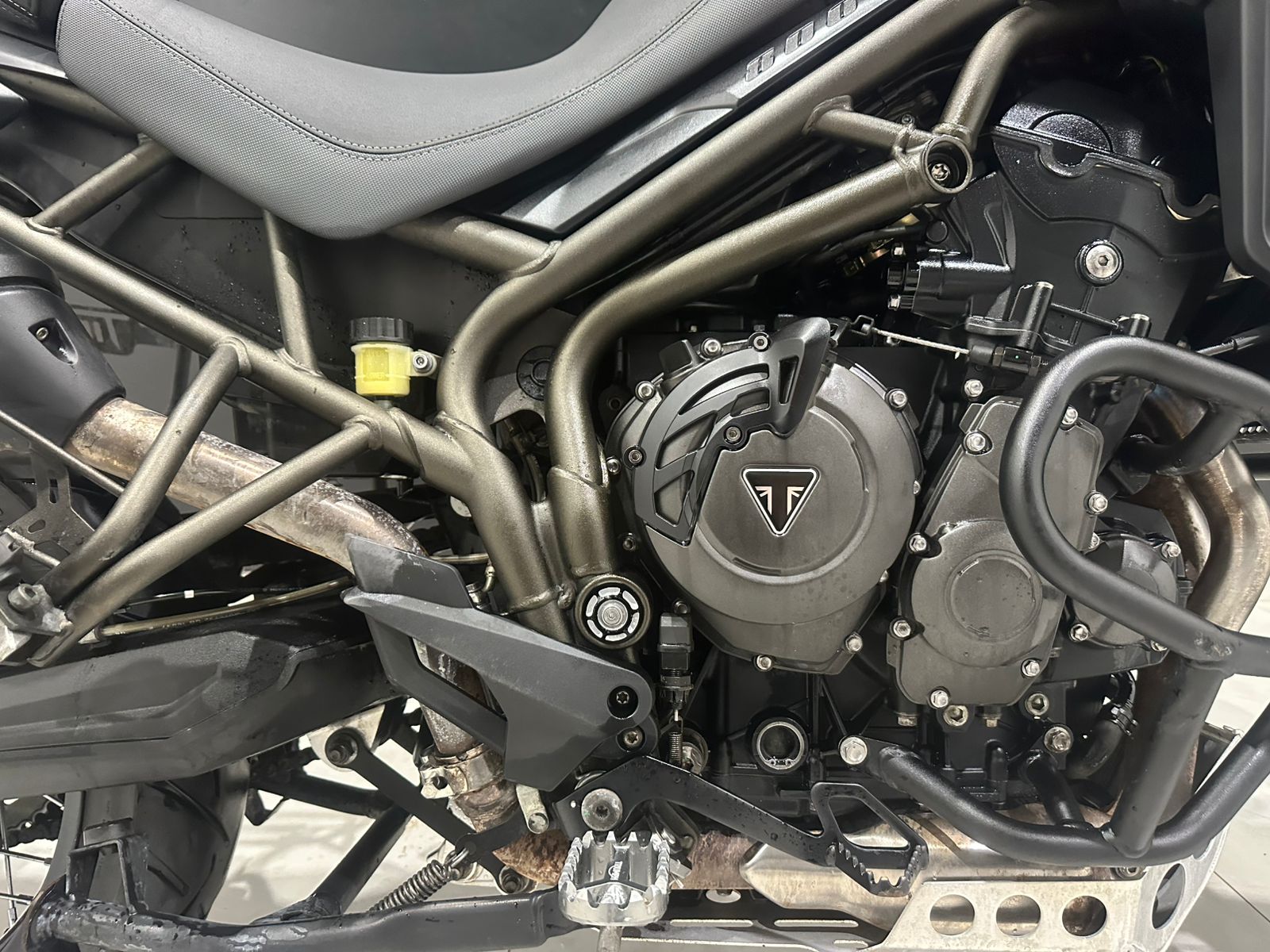 WhatsApp Image 2025-12-19 at 18.34.31 (1)