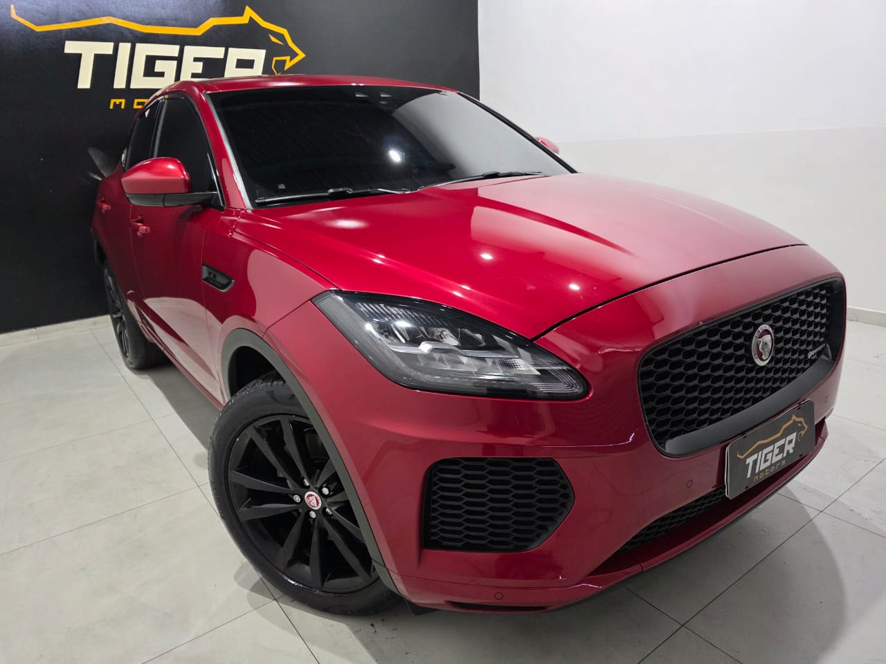 WhatsApp Image 2025-12-20 at 12.10.20 (3)