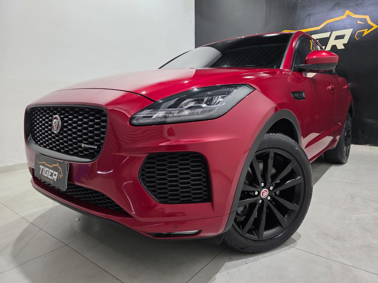 WhatsApp Image 2025-12-20 at 12.10.20