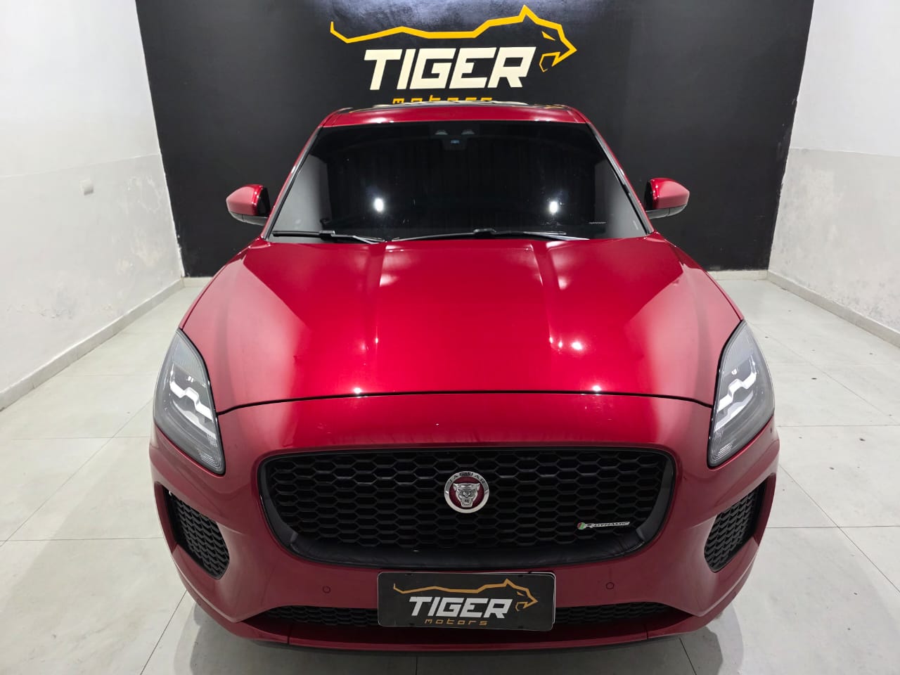 WhatsApp Image 2025-12-20 at 12.10.21