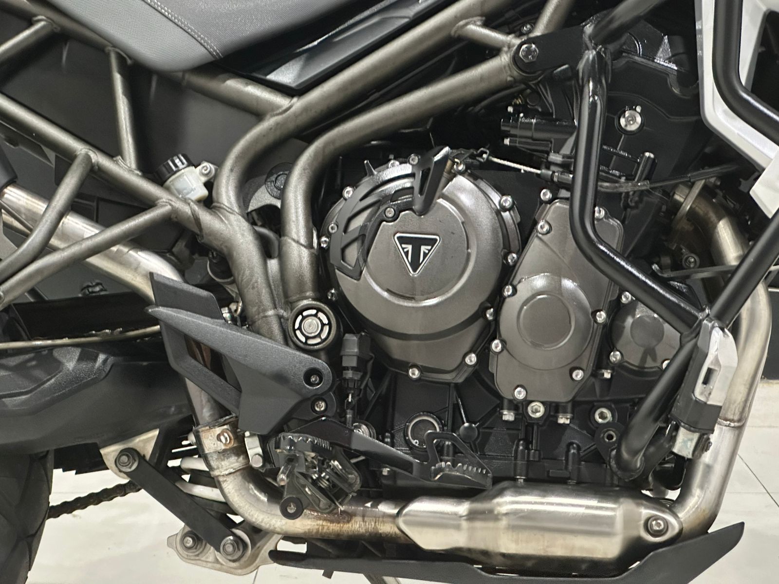 WhatsApp Image 2026-01-23 at 17.36.23 (1)