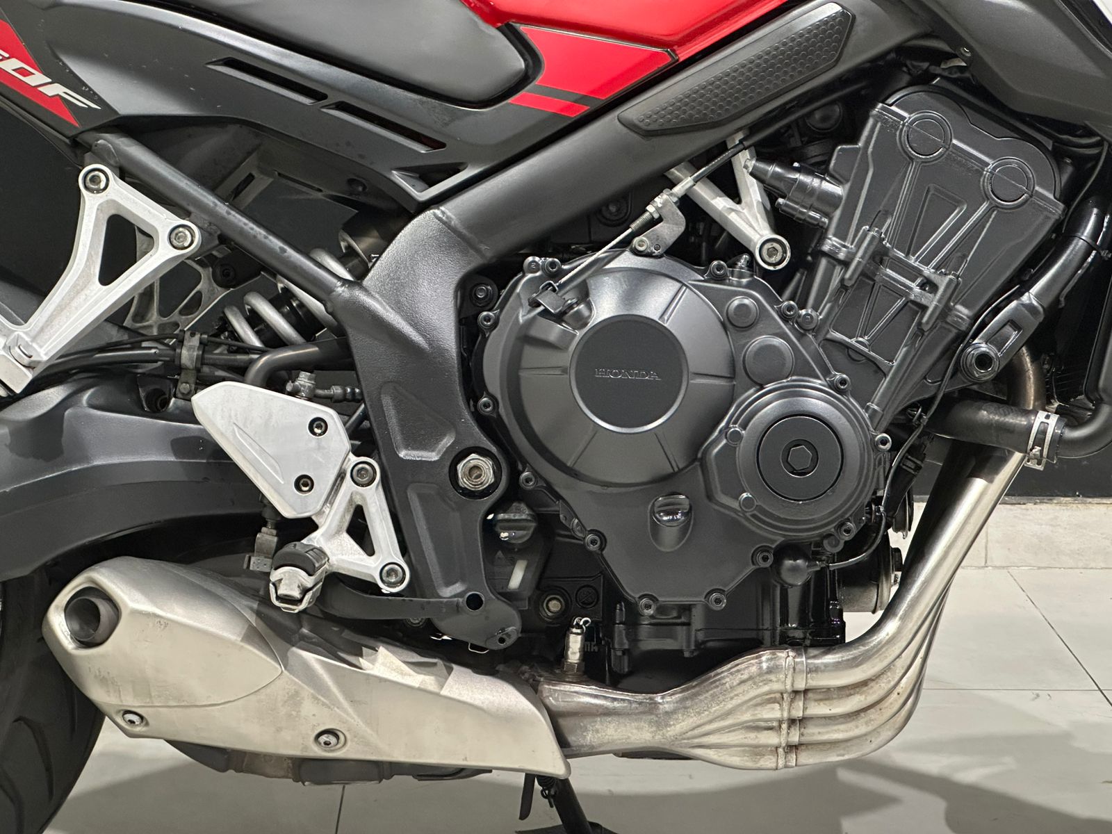 WhatsApp Image 2026-01-30 at 17.41.03