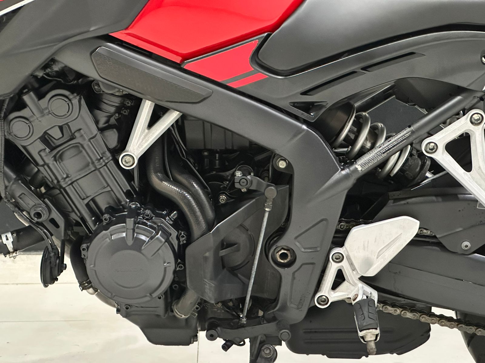 WhatsApp Image 2026-01-30 at 17.41.19 (1)