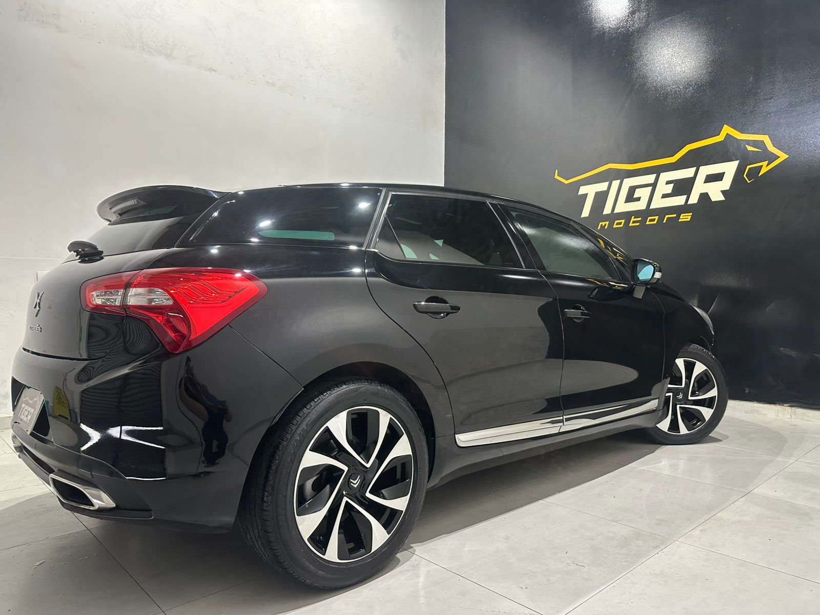 WhatsApp Image 2026-02-03 at 17.06.14