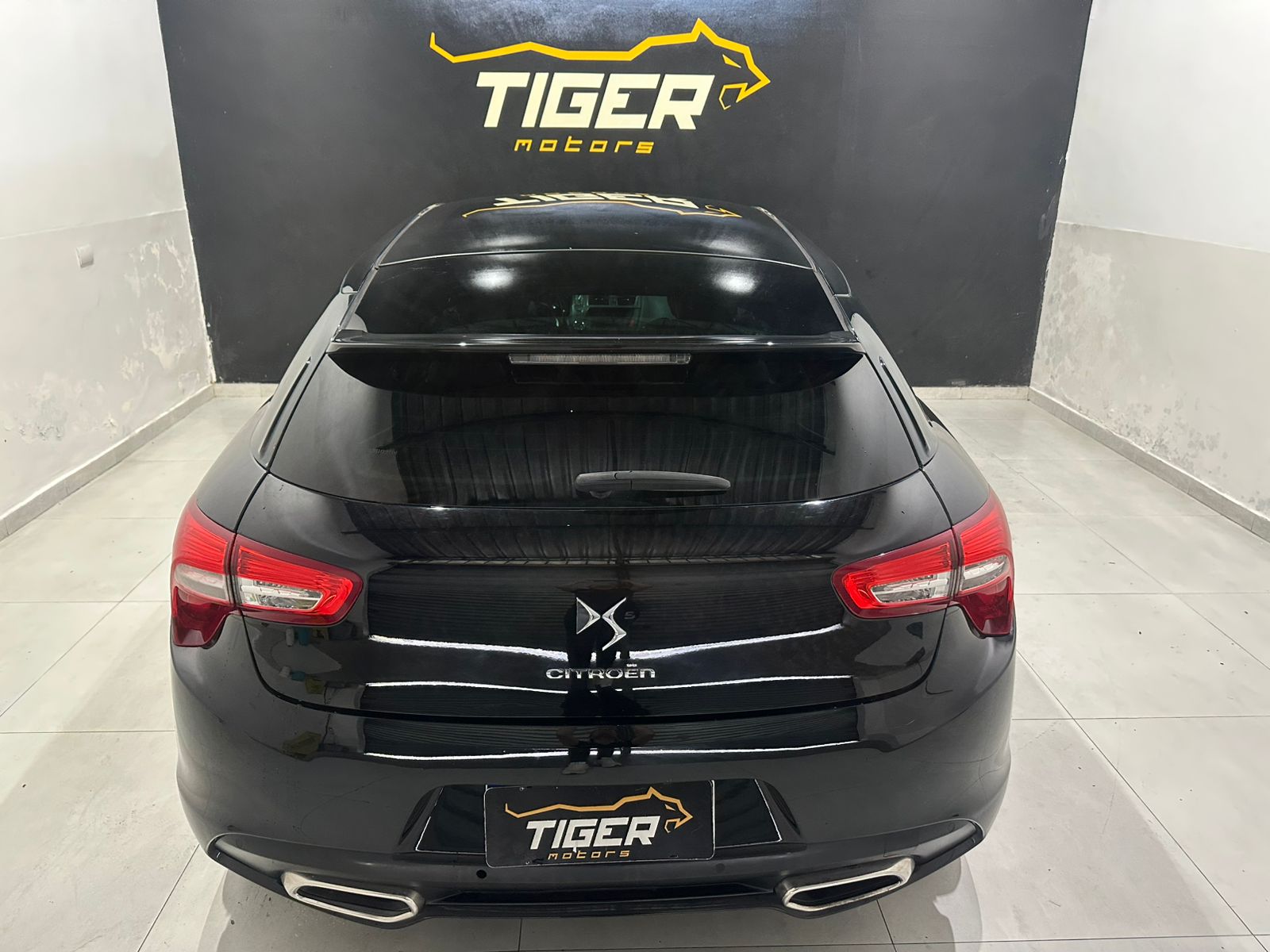 WhatsApp Image 2026-02-03 at 17.06.15