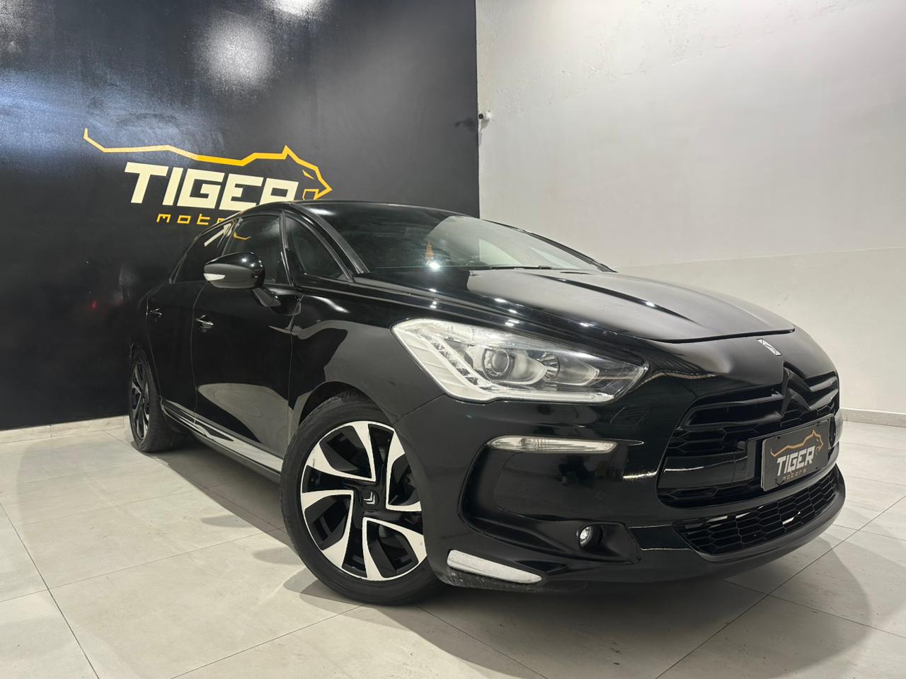 WhatsApp Image 2026-02-03 at 17.07.28 (1)