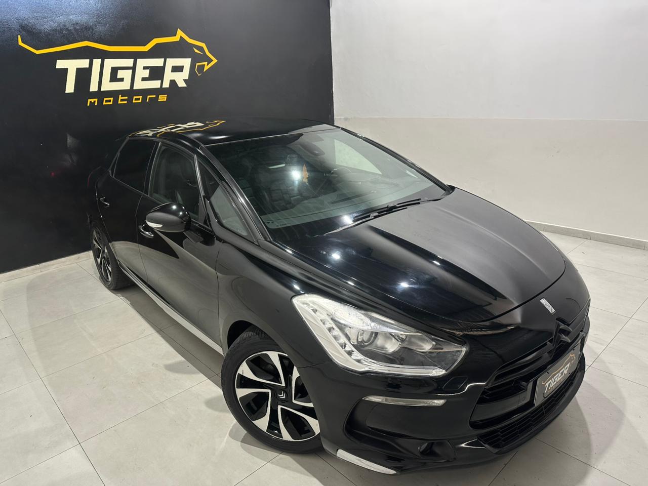 WhatsApp Image 2026-02-03 at 17.07.28 (2)