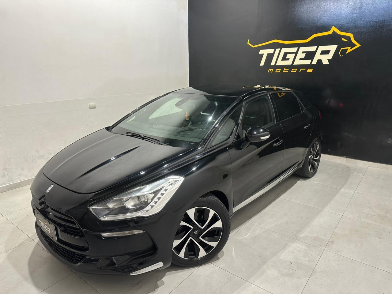 WhatsApp Image 2026-02-03 at 17.07.29 (1)