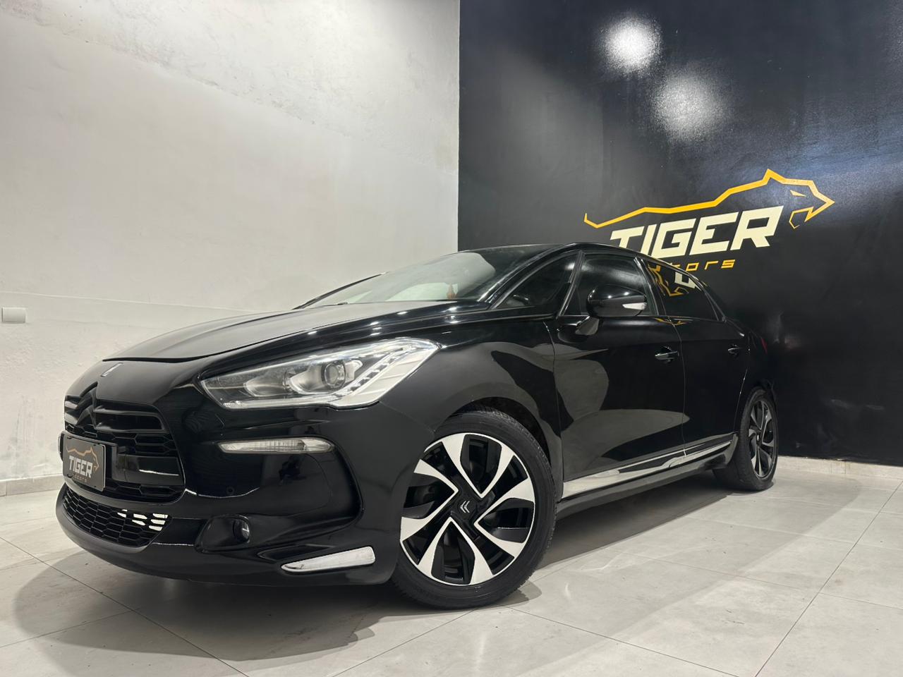 WhatsApp Image 2026-02-03 at 17.07.29