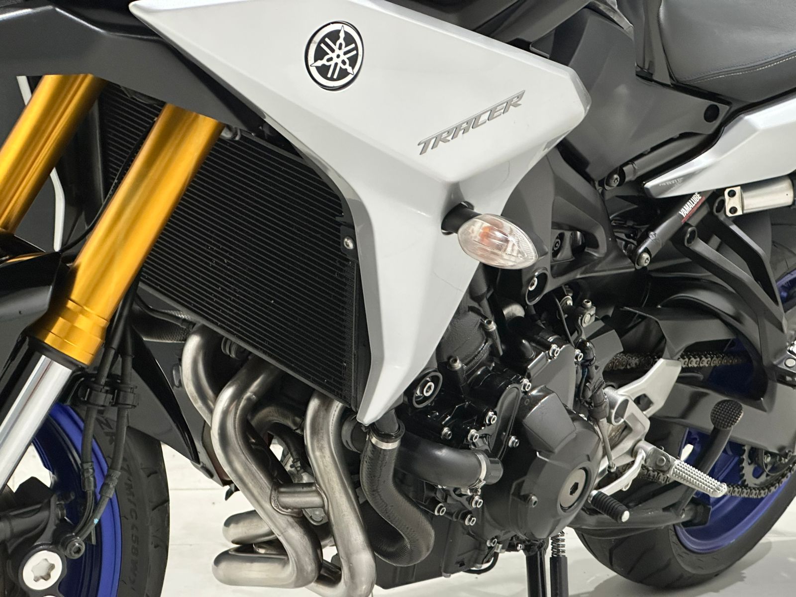 WhatsApp Image 2026-02-05 at 17.44.52