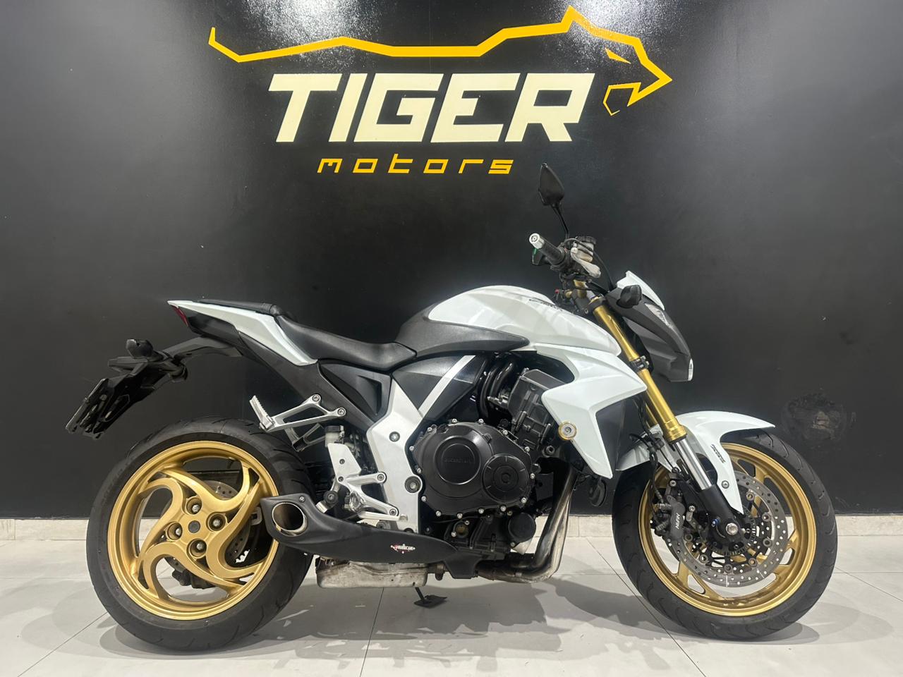 WhatsApp Image 2026-01-20 at 15.46.44