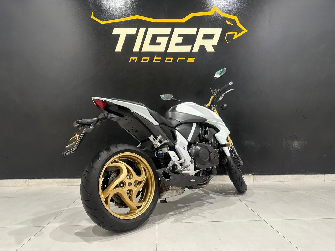 WhatsApp Image 2026-01-20 at 15.46.58 (1)