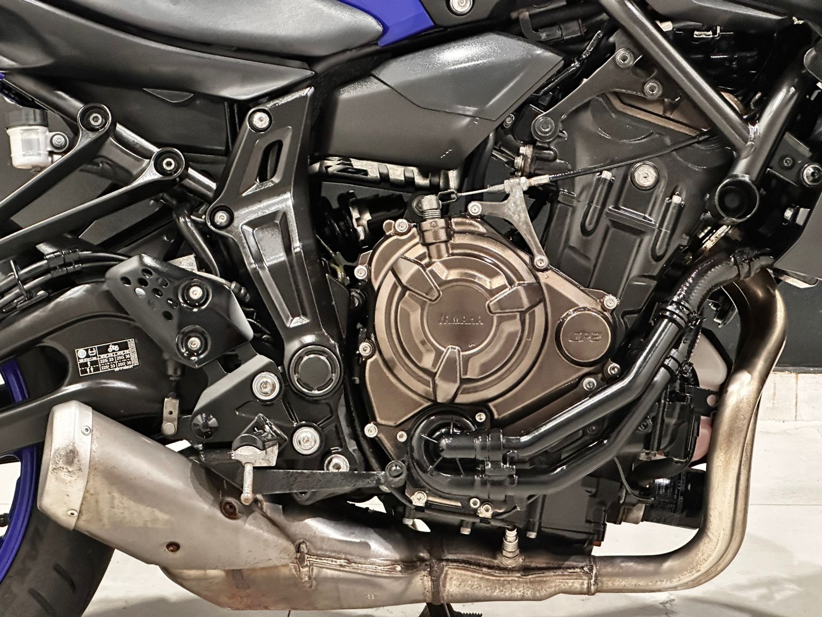 WhatsApp Image 2026-03-19 at 12.42.39