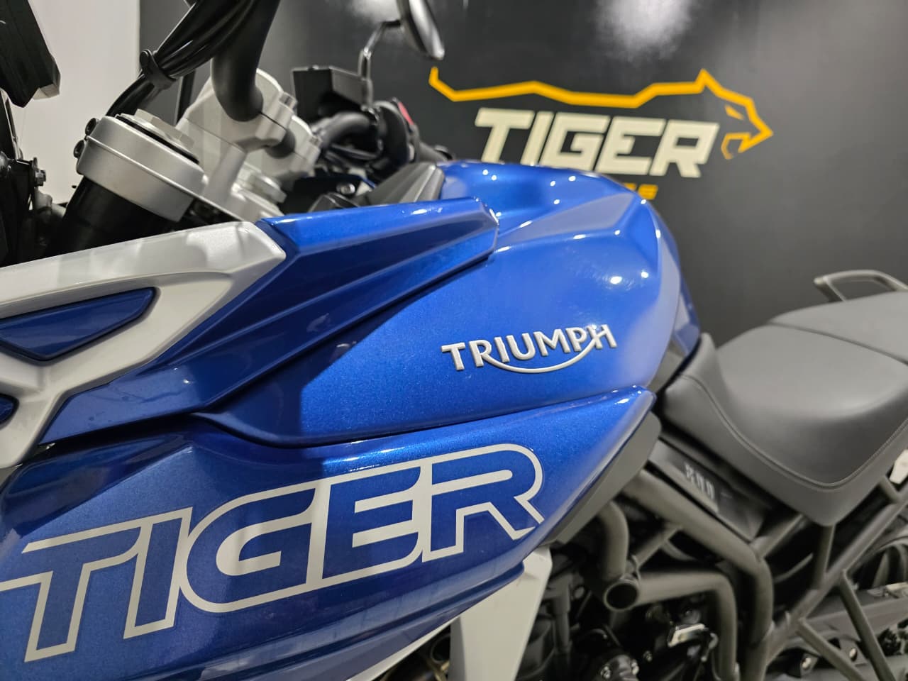 WhatsApp Image 2026-03-26 at 18.03.37 (1)