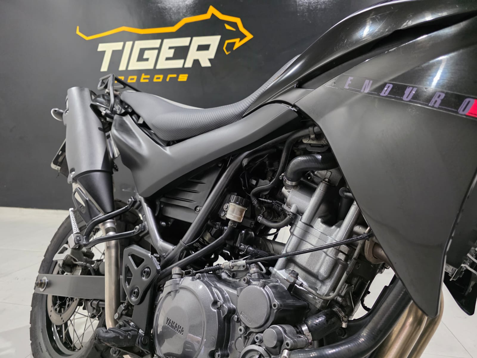 WhatsApp Image 2026-04-01 at 08.44.04 (1)