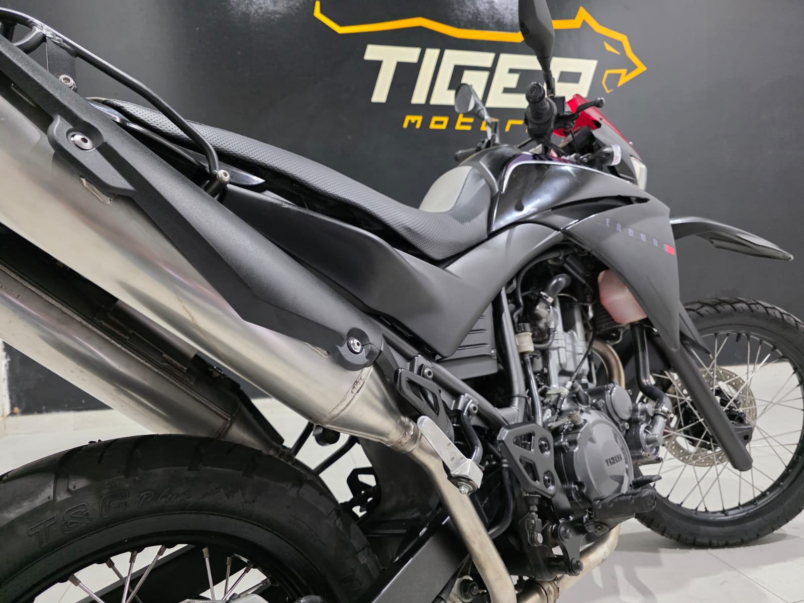 WhatsApp Image 2026-04-01 at 08.44.05 (1)